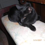 Blanding af racer Siffrine