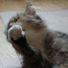 Blanding af racer fire i himlen ;(