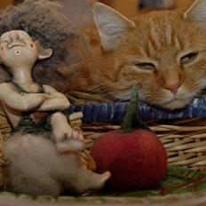 Blanding af racer Lilly