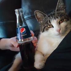 Huskat Mimse