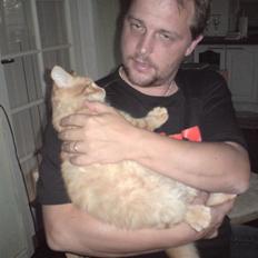 Norsk Skovkat Mickey