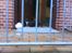 Huskat Striber R.I.P bedste kat i verden