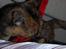 Blanding af racer Clarisha R.I.P.