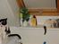 Blanding af racer Feline - tidligere kat. 