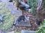 Huskat Striber R.I.P bedste kat i verden
