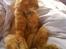 Blanding af racer Kitty <3 - Her ligger min lille skat i min dyne<´3