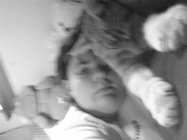 Huskat simba/simse billede 17