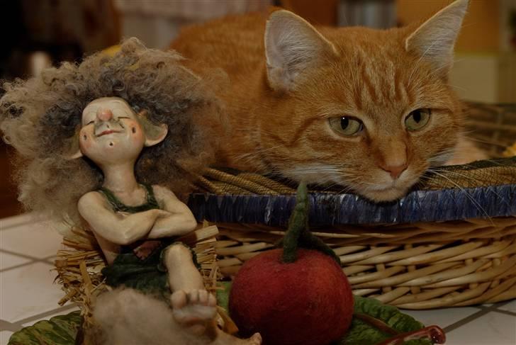 Blanding af racer Lilly billede 1