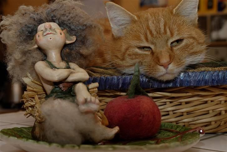 Blanding af racer Lilly billede 3