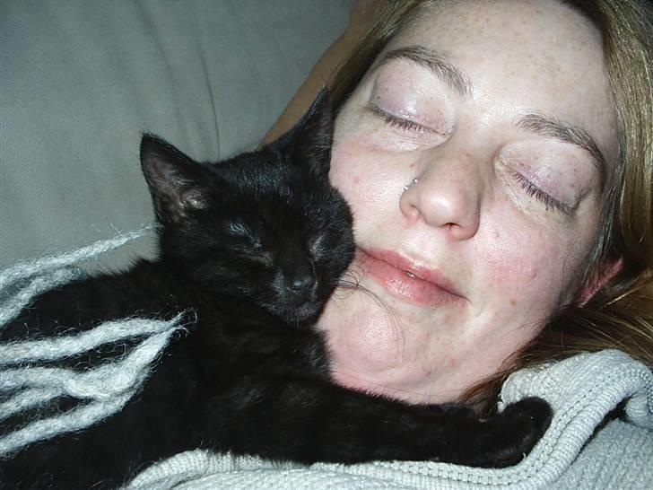 Huskat Sille - Sille elsker at putte med sine mennesker. billede 9