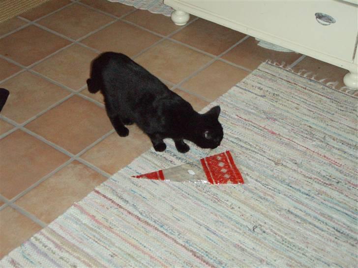 Huskat Bette mus. - Er der mon mere tilbage ?  billede 11