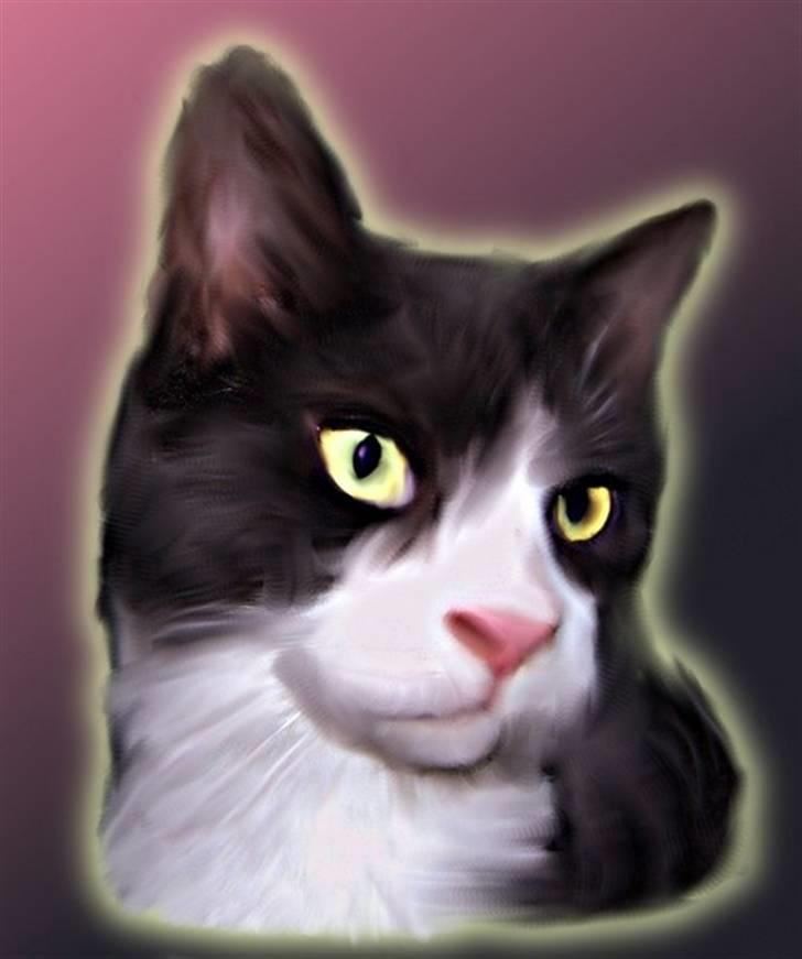 Blanding af racer Kipling - Velkommen billede 1