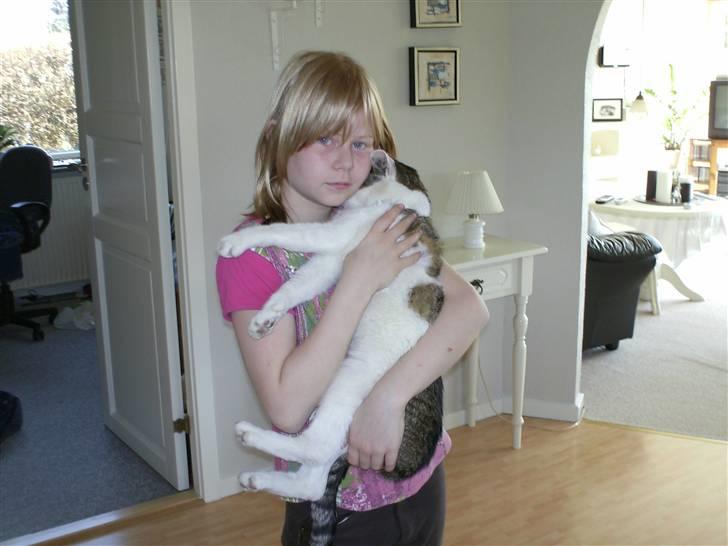 Huskat Tarzan      R.I.P :'( - Få timer før han skulle ned til dyrlægen og prikkes :´( <3 billede 4