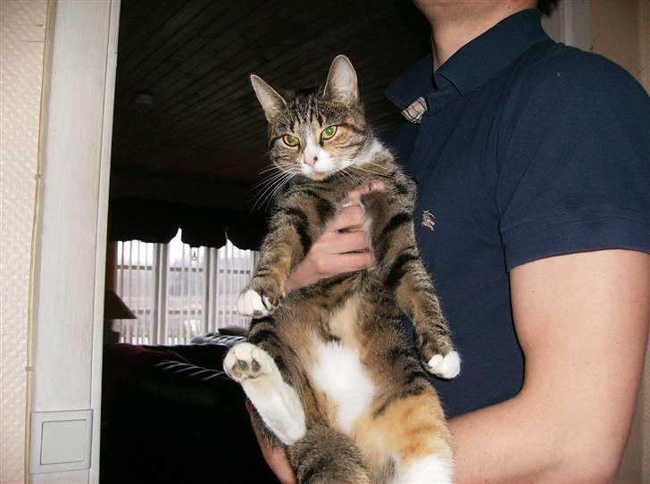 Blanding af racer Rita  - putter hos far :) billede 10