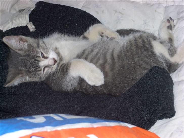 Huskat Mulle - Var jeg ik` nuttet? billede 5