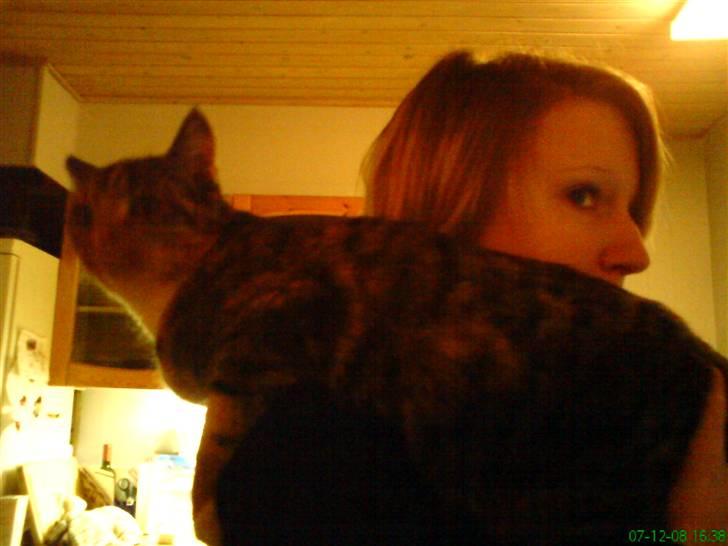 Blanding af racer Pjuske <3 - 3) Sider på Sasja´s skulder :D billede 3