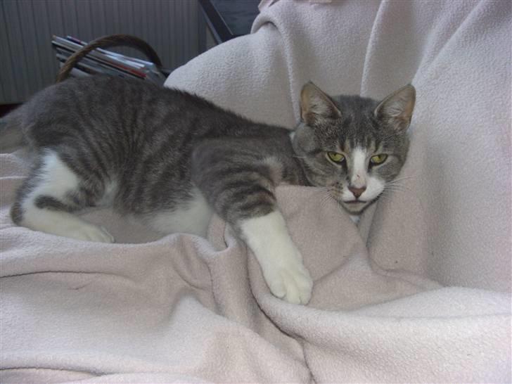 Huskat Mulle - Leger med en af Benedicte`s veninder.. billede 8