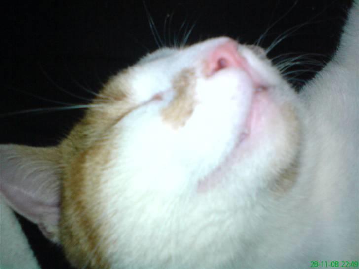 Huskat Kleenex - er jeg ik bare dejlig (: billede 1