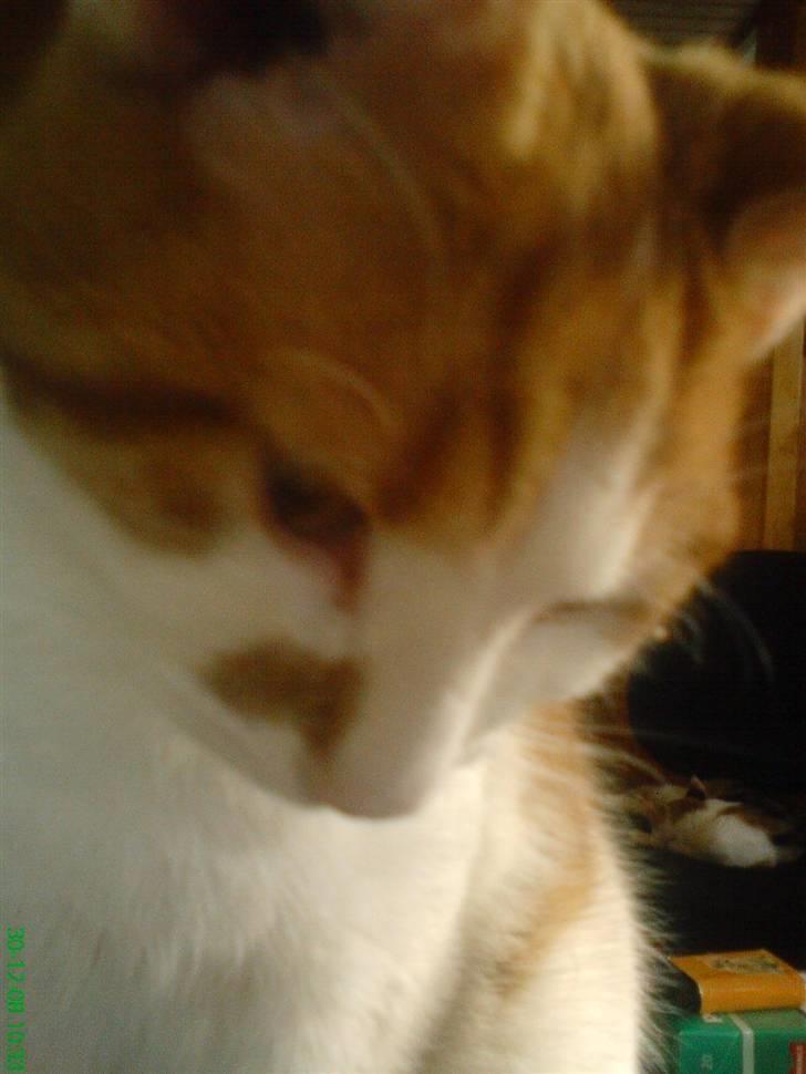 Huskat Kleenex - ohj nu tager hun billeder igen (: billede 2