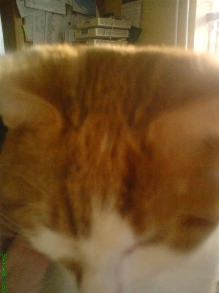 Huskat Kleenex - hi hun fik mig ik (: billede 5