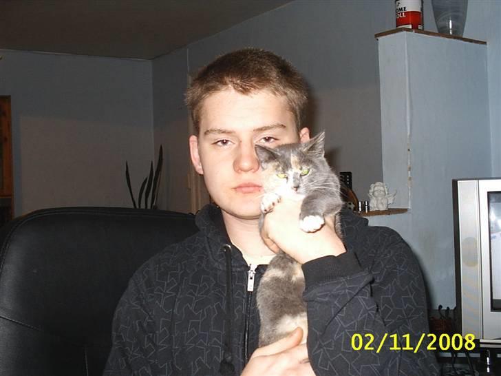 Blanding af racer R.I.P *Berta* billede 9