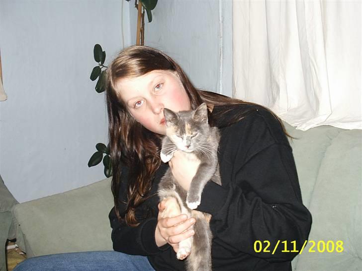 Blanding af racer R.I.P *Berta* billede 11