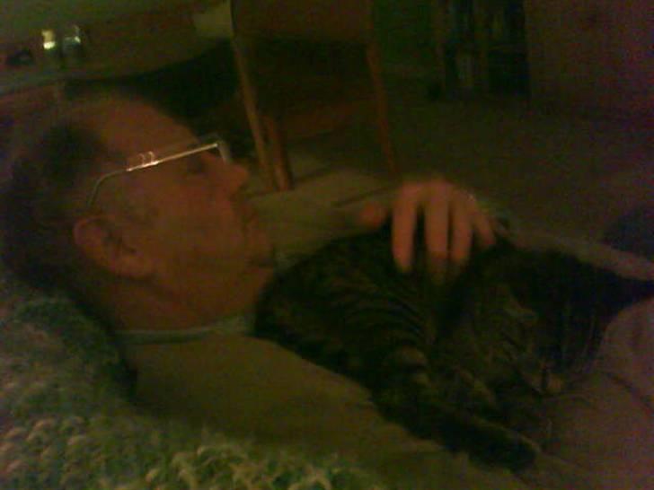 Huskat Striber R.I.P bedste kat i verden billede 15