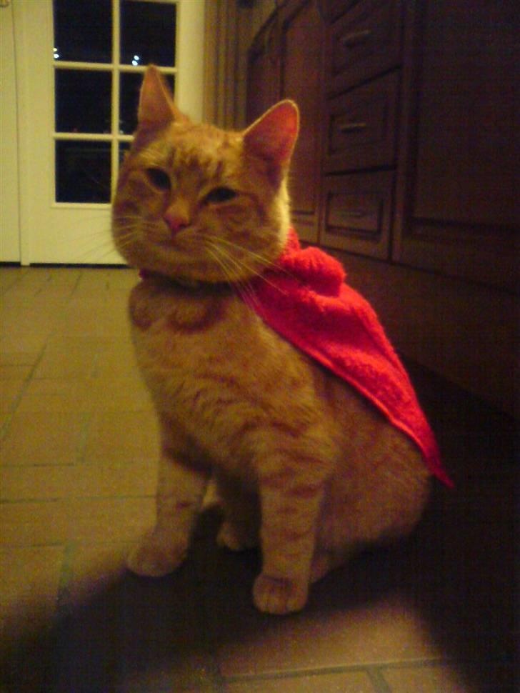 Huskat Nua billede 2