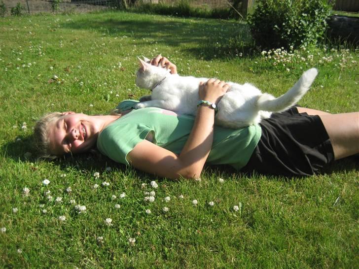 Huskat Isolde - skønt træ!! billede 7