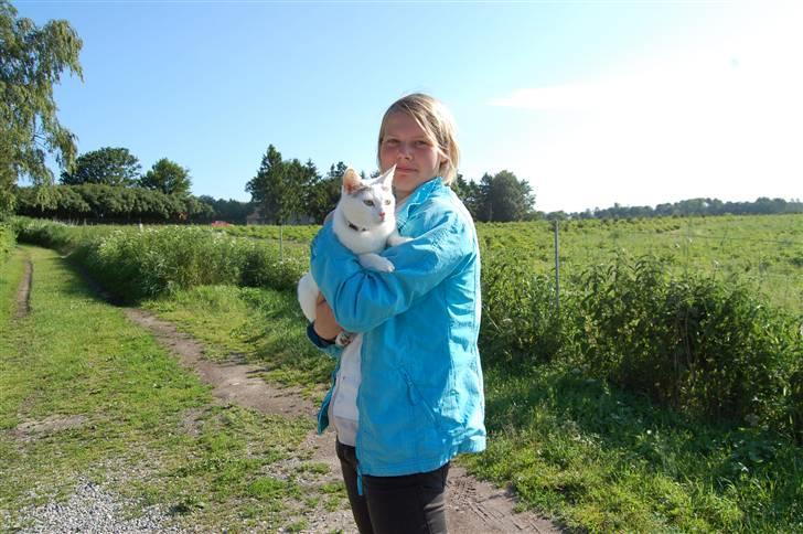 Huskat Isolde - uh jeg ska lige være smuk billede 10