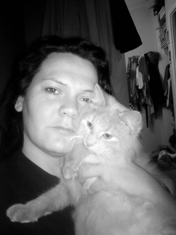 Blanding af racer Dior billede 11