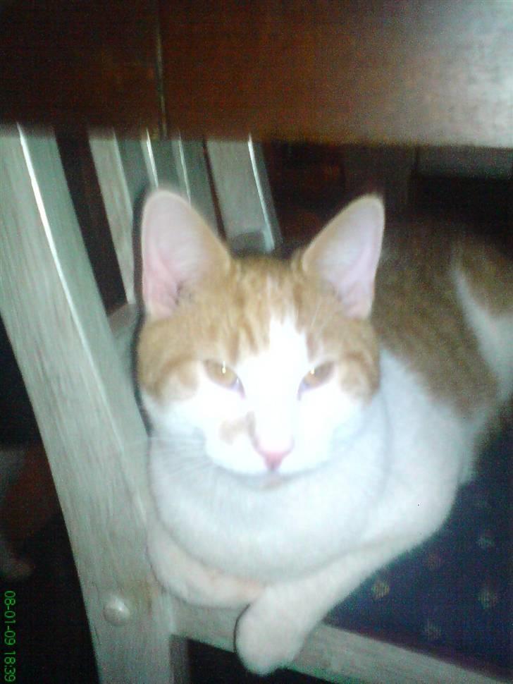 Huskat Kleenex billede 6