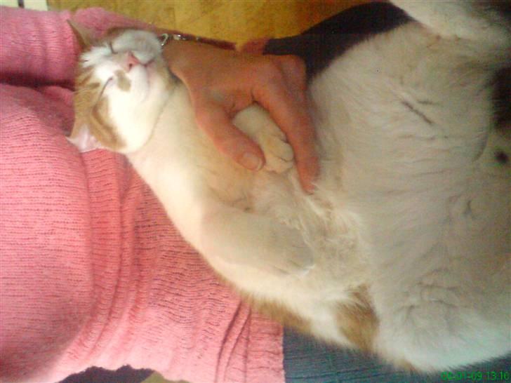 Huskat Kleenex billede 9