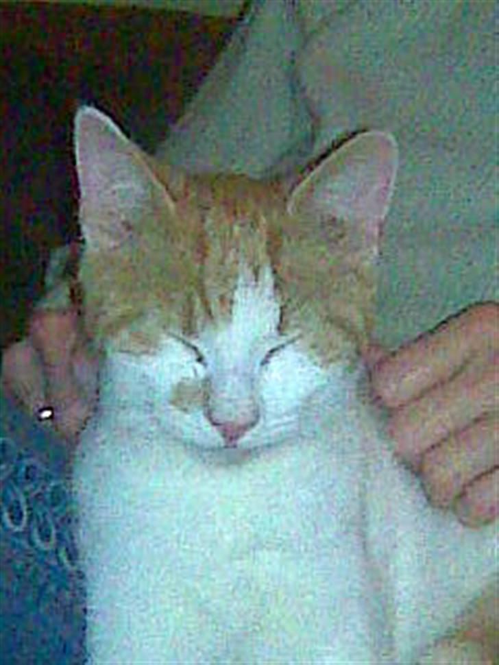 Huskat Kleenex billede 10