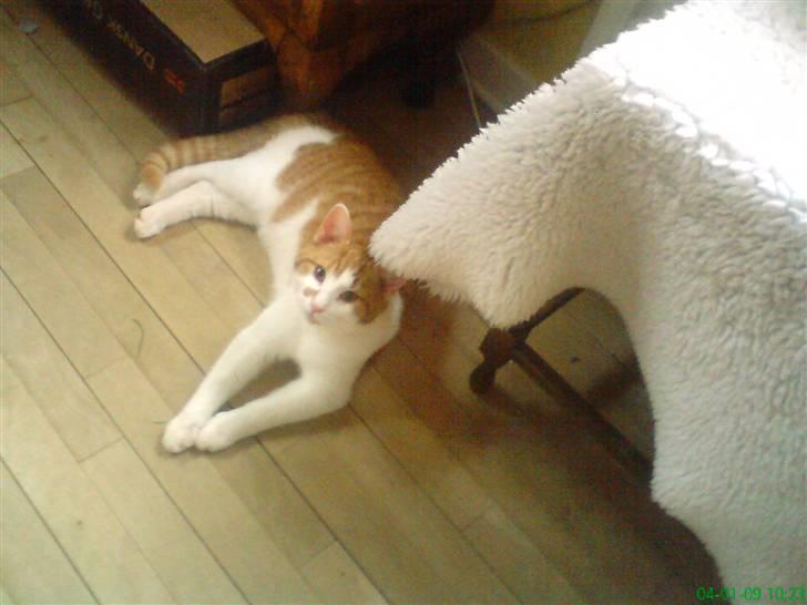 Huskat Kleenex billede 11