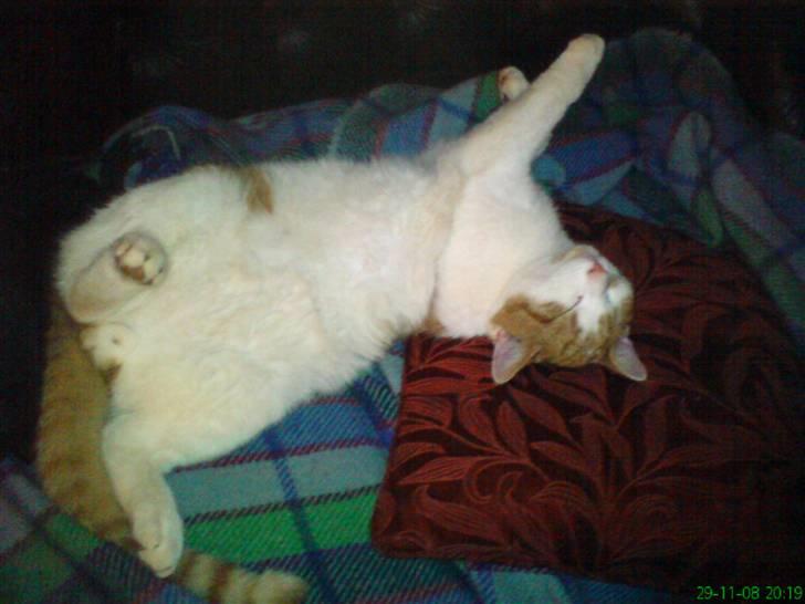 Huskat Kleenex billede 12