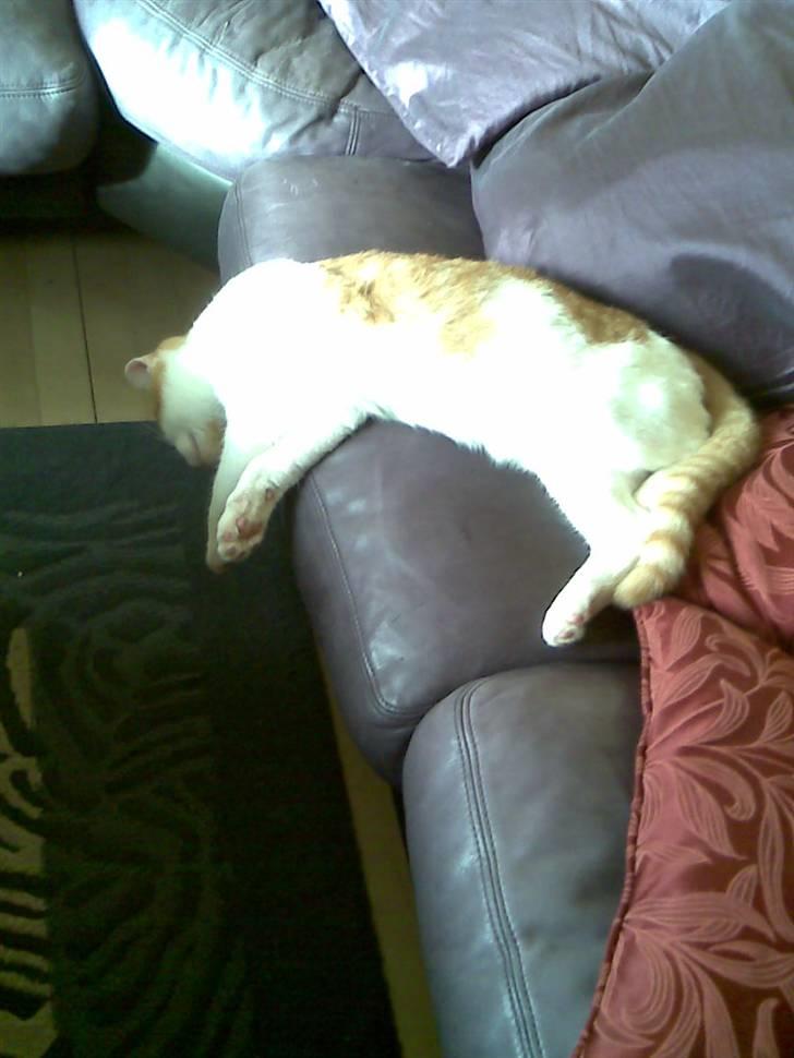 Huskat Kleenex billede 13