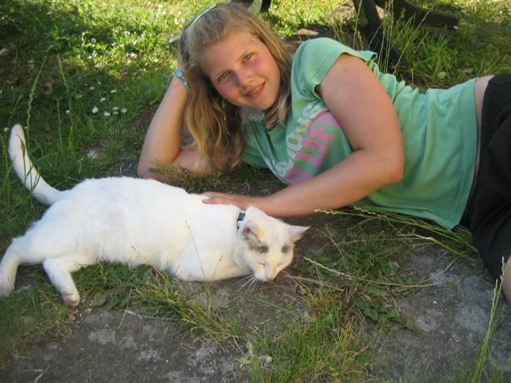 Huskat Isolde billede 11