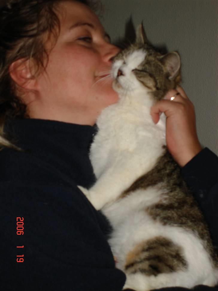 Huskat Miv billede 7