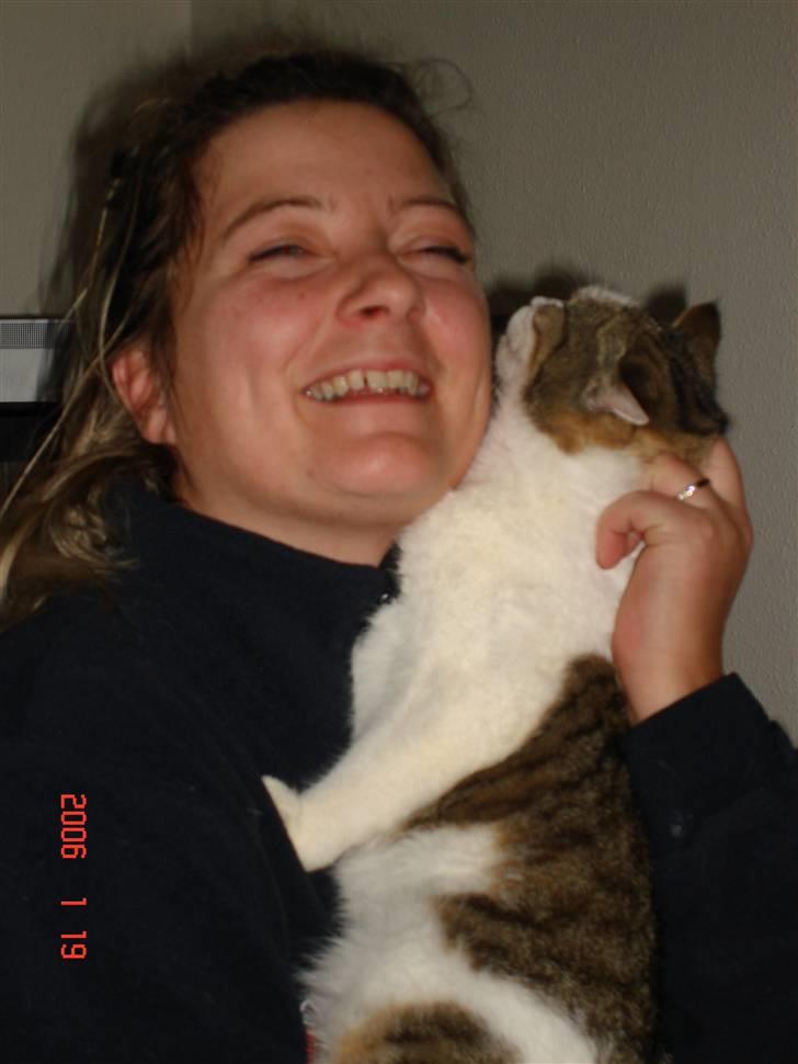 Huskat Miv billede 8