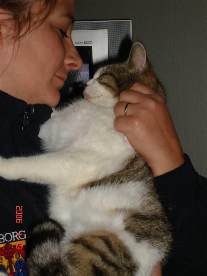 Huskat Miv billede 9