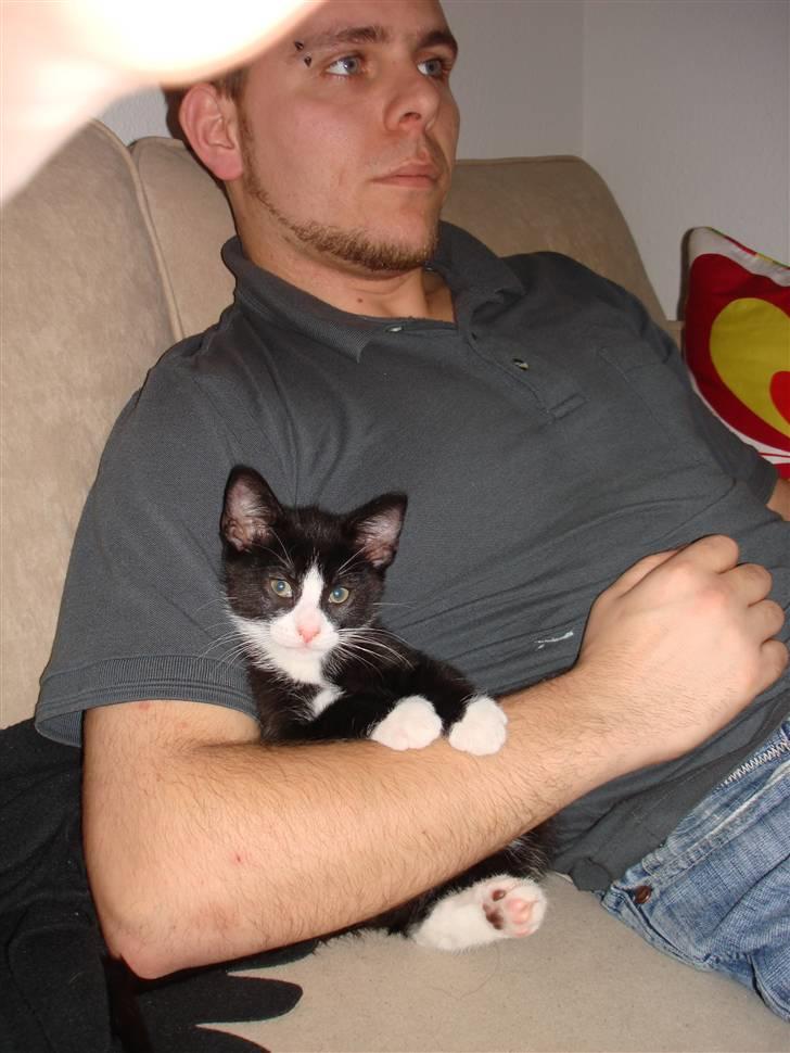 Huskat Jack - Putter med "far" :) billede 4