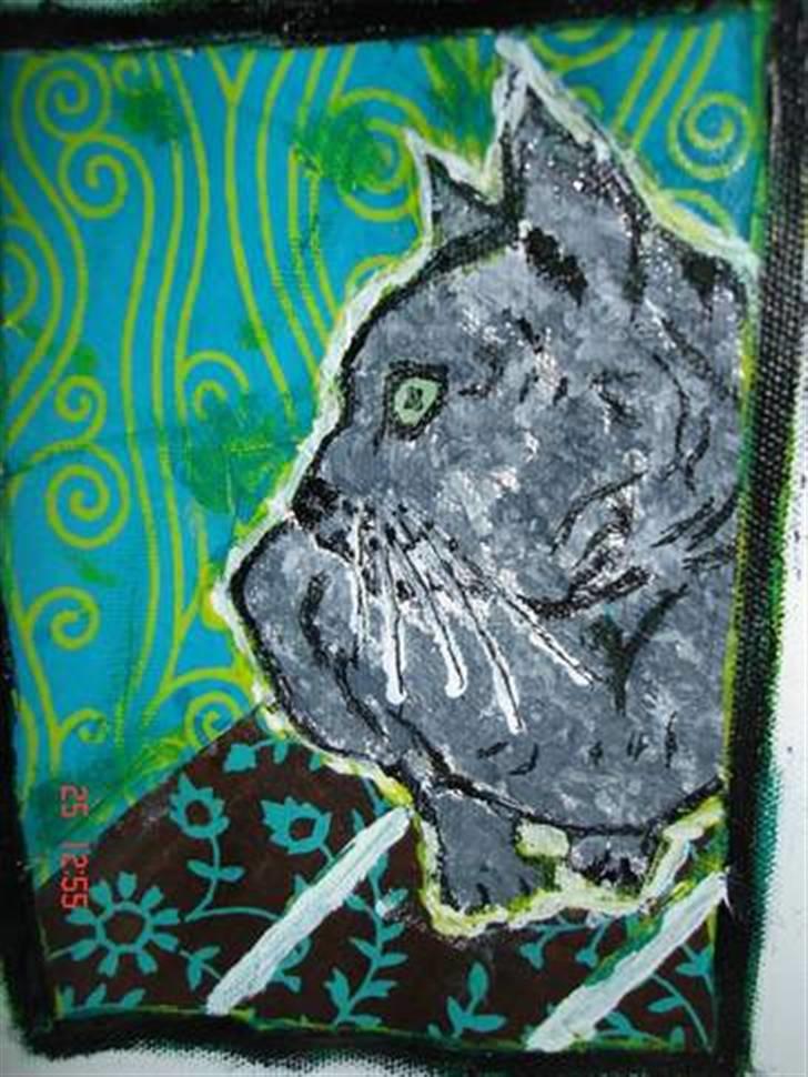 Burmeser Blue Barriester »Victor« - Tak til Rikke H :) billede 2