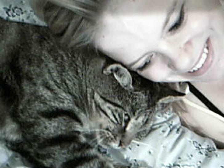 Huskat Silver King*RIP* billede 9