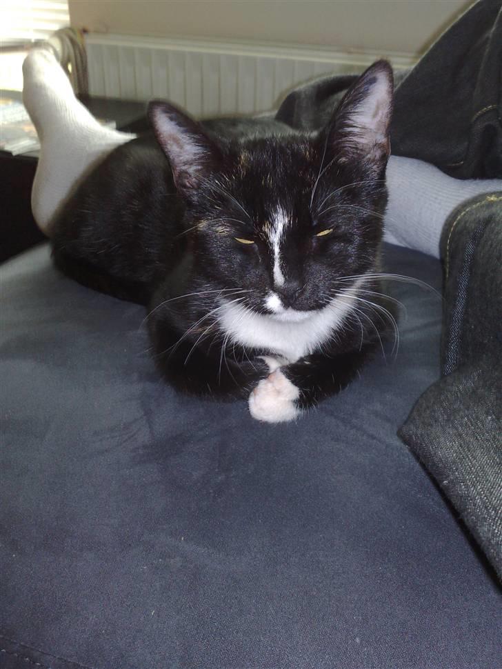 Huskat Tila billede 1