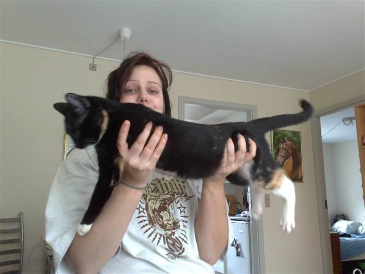 Huskat Tila billede 2