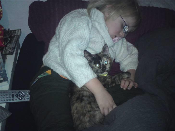 Huskat Luske - Tja hun gik vidst kold . tror jeg bliver liggede her , det er så dejlig varmt billede 3