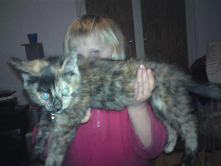 Huskat Luske - WOOW er jeg ikke bare stor ;) billede 13