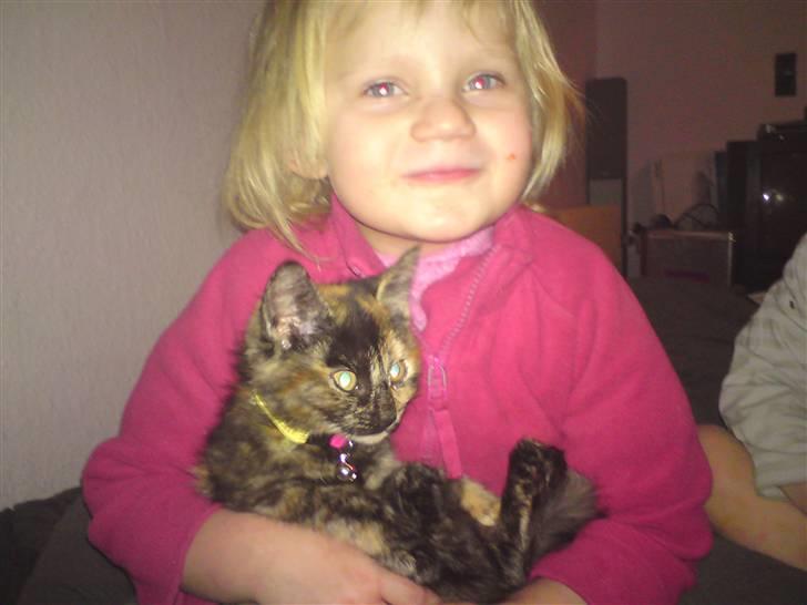 Huskat Luske billede 14