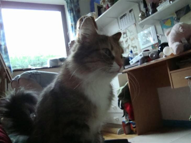 {{currentPhoto.altText}} billede {{currentPhoto.number}}